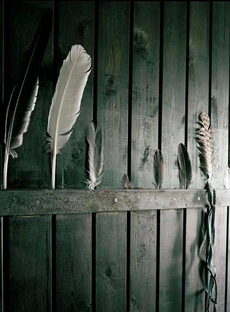 ….y échate a volar! …and fly, fly and fly!