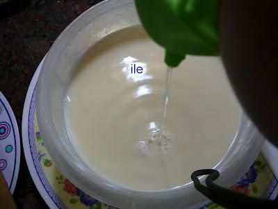 Tofu - Queso de soja