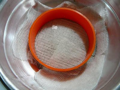 Tofu - Queso de soja