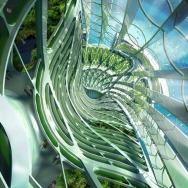 hidrogenasa-6 hidrogenasa-6