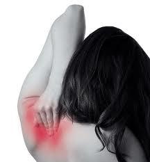 e135 Malas posturas y dolor de espalda