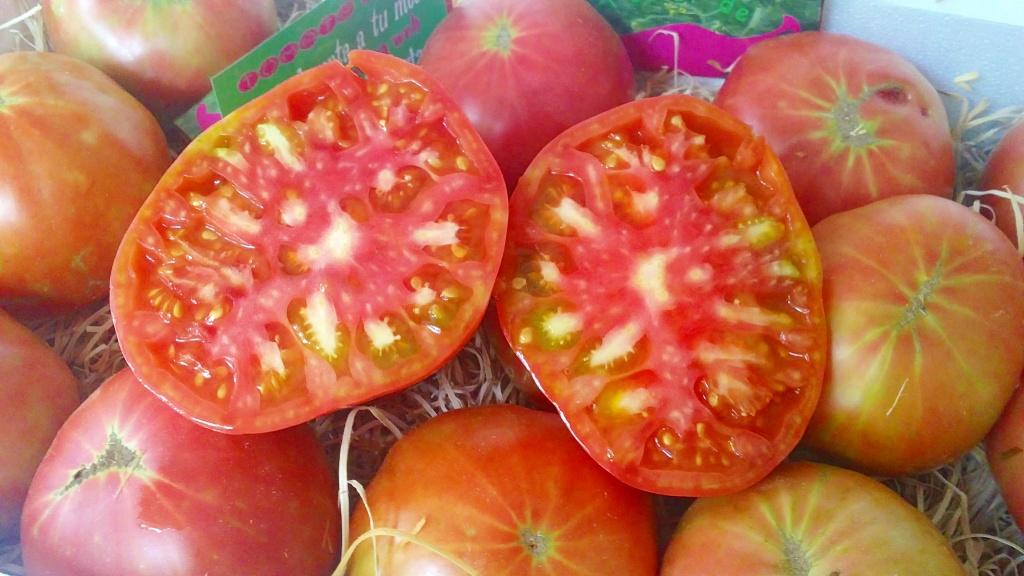 El sabor de la Huerta