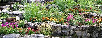 Construir un jardín de rocalla