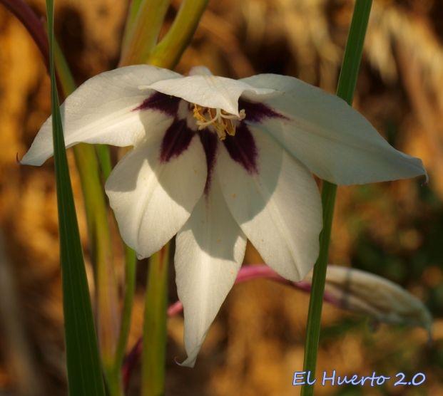 BLOG DEL MES...............(Septiembre/2012).-