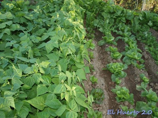 BLOG DEL MES...............(Septiembre/2012).-