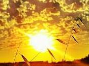 ¿Cuál causa Osteoporosis?