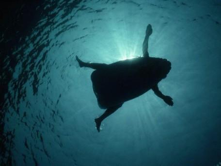 Vidas Superficiales Vidas Superficiales