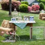 Southern-wedding-picnic-reception