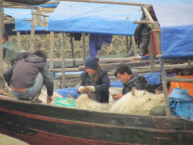 Halong Bay; una navegación mágica
