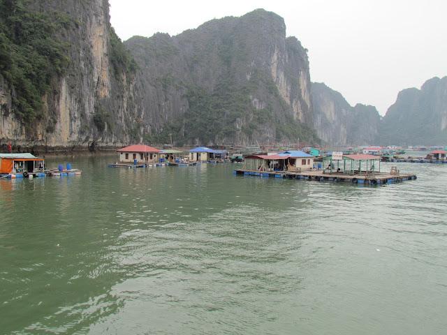 Halong Bay; una navegación mágica