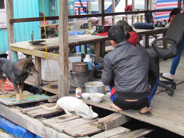 Halong Bay; una navegación mágica