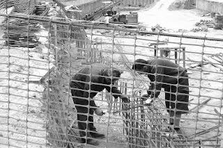 Si puede empeorar, empeorará. La ‘envidiada’ claridad de tantos individuos