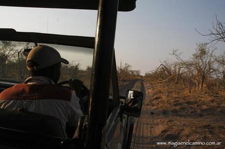 caminoenSavuti Y llegó el día en que me amigué con los animales