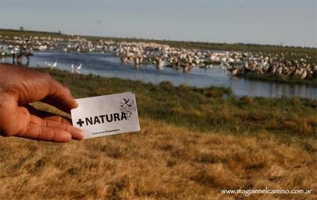 masnaturaleza Y llegó el día en que me amigué con los animales