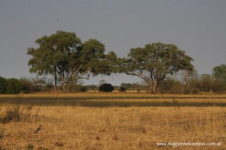 paisajesavuti Y llegó el día en que me amigué con los animales