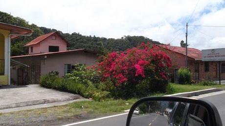 0581 Un paraíso escondido