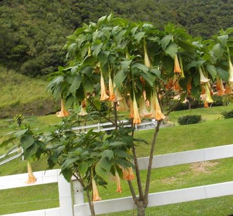 0511 Un paraíso escondido