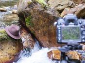 Fotografiar sombreros