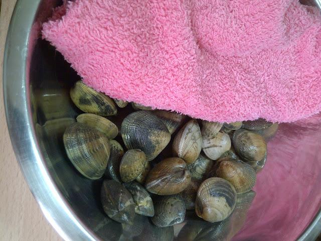 ¿Cómo conservar las almejas en el frigorífico?
