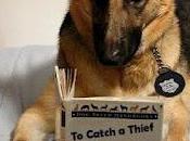 Sam, perro contra Alzheimer