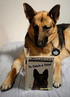 Sam, el perro contra el Alzheimer