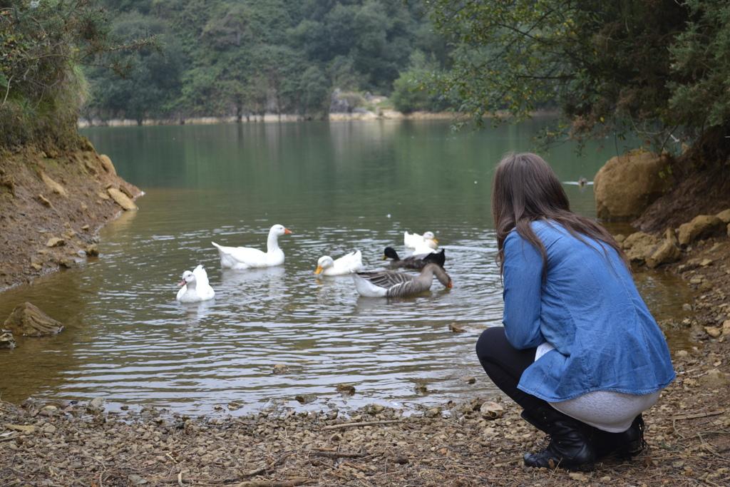 Image Hosted by ImageShack.us