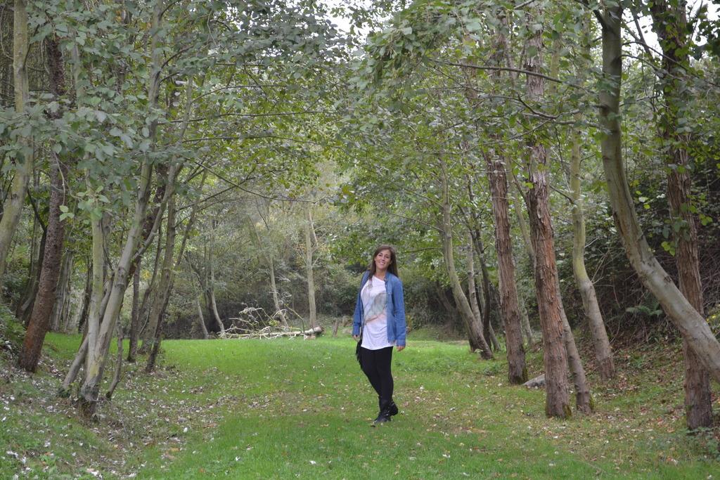 Image Hosted by ImageShack.us