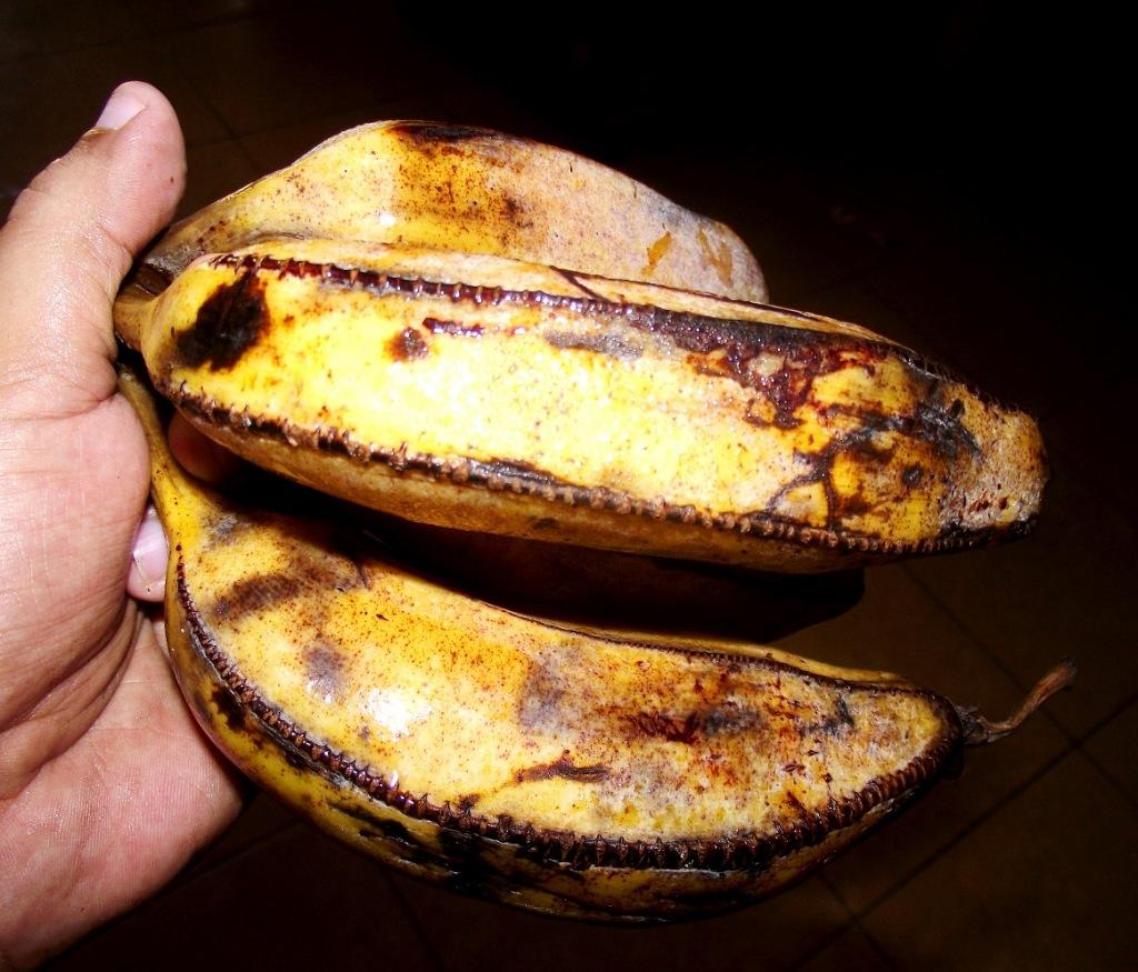 ¡Pastelón de guineo manzano! (Pastelón de plátano maduro)