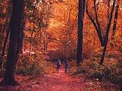 Battery intrigante nuevo trailer