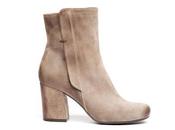 botín, estrella otoño