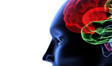 Cuidar a los cuidadores como al propio enfermo