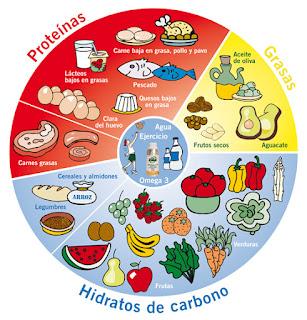 Adelgaza con la Dieta de la Zona