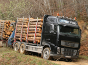 Homenaje camioneros madereros