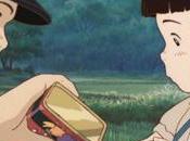 SelectaVisión adquiere derechos Tumba Luciérnagas», adaptación animada novela original Akiyuki Nosaka