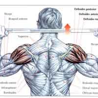 prensa-de-banca-con-barra-para-hombros
