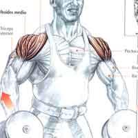 elevacion-de-laterales-con-mancuernas