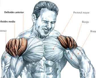 listado-de-ejercicios-para-fortalecer-los-hombros