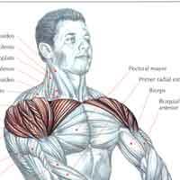 elevacion-frontal-con-mancuernas-para-ejercitar-los-hombros