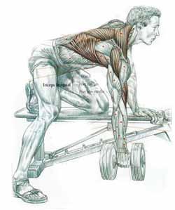 Ejercicios para la espalda