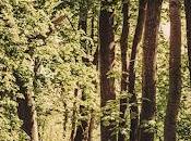 Battery nuevo teaser poster