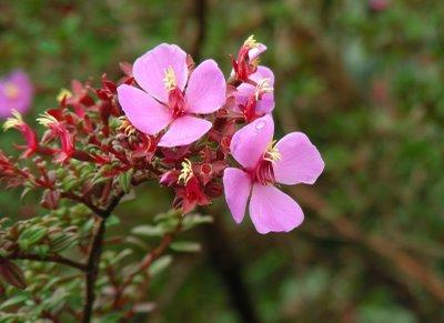 94. ÁNIMO A TODOS LOS QUE ESTÁIS LUCHANDO POR VUESTROS HIJOS