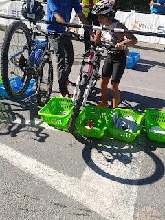 SERTRI Altafulla.Flash de Menores.