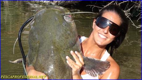 WELS CATFISH PESCA GUIADA DEL SILURO EN OCTUBRE