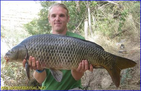 GRANDES CARPAS PESCA GUIADA DEL SILURO EN OCTUBRE