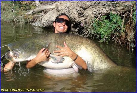 GUIAS DE PESCA DEL SILURO PESCA GUIADA DEL SILURO EN OCTUBRE