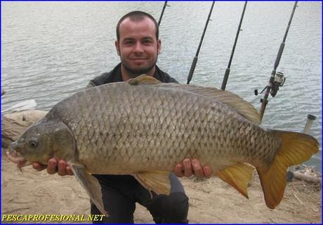 GUIAS DE PESCA DE LA CARPA PESCA GUIADA DEL SILURO EN OCTUBRE