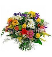 CRINKLES DE CHOCOLATE