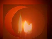 Una de breves - Ave Fénix