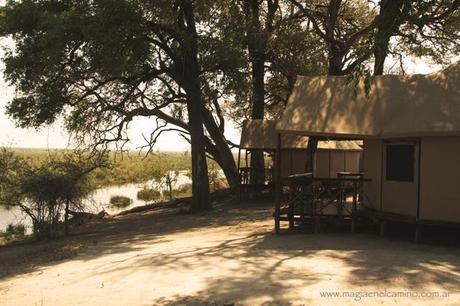 ¿Cómo es la vida en los campamentos de Savuti y Linyanti, en el Parque Nacional Chobe?