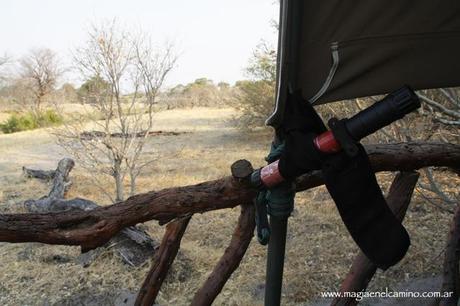 ¿Cómo es la vida en los campamentos de Savuti y Linyanti, en el Parque Nacional Chobe?